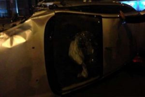 "Kazmalı" kurtarma operasyonu...