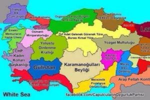 T&uuml;rkiye'nin g&uuml;ld&uuml;ren b&ouml;l&uuml;nm&uuml;ş haritası