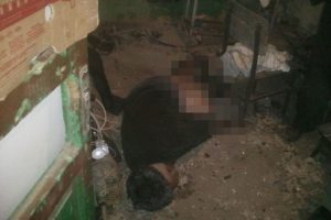 Soğuktan donarak &ouml;ld&uuml;, fareler kemirdi