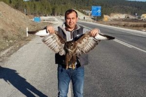 Veteriner başkan aday adayı yaralı doğanı tedavi etti