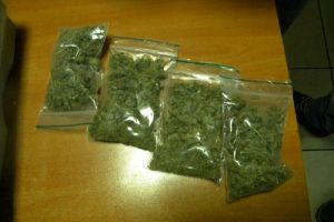 TIR s&uuml;r&uuml;c&uuml;s&uuml;nde marihuana bulundu