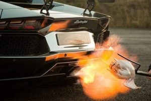 Lamborghini ile hindi pişirdi