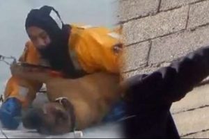 K&ouml;pek ile ser&ccedil;enin kurtarılma anı