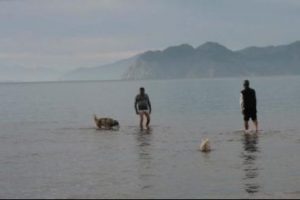 Dalyan'da Noel kutlaması