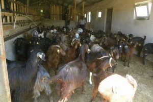 Besicilere 181 milyon liralık &ouml;deme