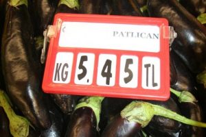 Patlıcan tavuğu solladı