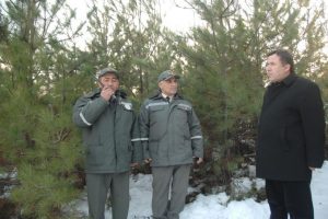 Orman timleri &ccedil;am n&ouml;betinde