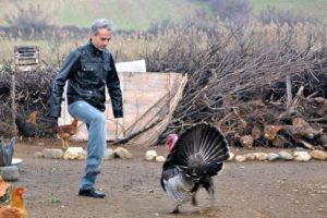 Hindiden bek&ccedil;i olur mu demeyin!