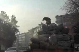 Trafikte şaşırtan manzara