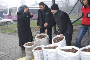 Mevsimin son kestanesi pazara indi