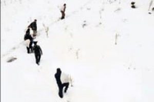 Kurda-kuşa yem seferberliği