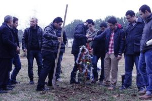 Yılbaşı ağa&ccedil;ları toprakla buluştu