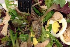 Salatasından kurbağa &ccedil;ıktı