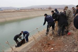 Başlarından tabanca ile &ouml;ld&uuml;r&uuml;lm&uuml;şler