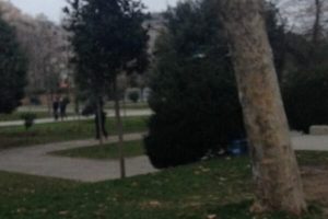 G&uuml;nay Gezi Parkı'na gitti bu fotoğrafı paylaştı