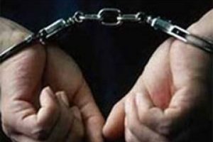 Yalova'da El-Kaide operasyonu