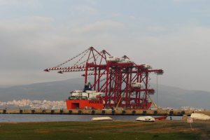 Japonya'dan Gemlik'e 4 dev vin&ccedil; getirildi