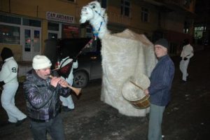 Yeni yıla develi giriş