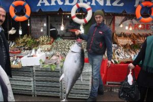 Kanser hastasına k&ouml;pekbalığı