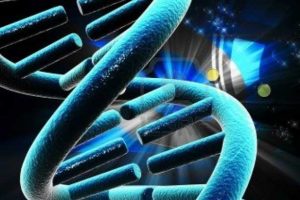 DNA'nın gizli kodları