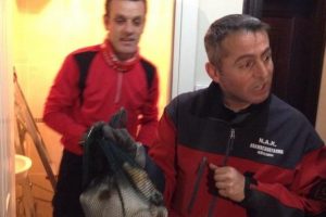 2 hafta mahsur kalan kedi i&ccedil;in m&uuml;thiş seferberlik