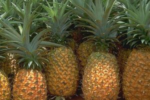 Ananas bir&ccedil;ok rahatsızlığı tedavi ediyor