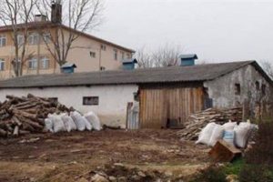 İspirto faciası: 4 &ouml;l&uuml;