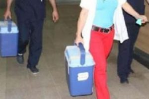 Organ bağışında yeni d&uuml;zenlemeler