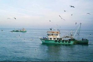 İstanbul'da 57 balık&ccedil;ıya 53 bin lira ceza kesildi