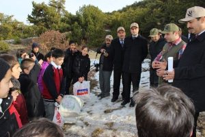 Yaban hayvanlarına yem desteği