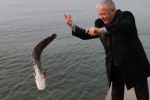 Marmara'da trajikomik olay