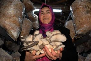 Kadın girişimcileri y&uuml;reklendirecek &ouml;rnek