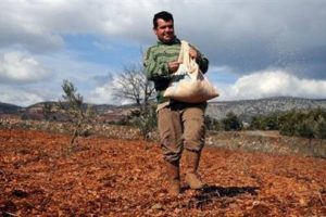 &Ccedil;ift&ccedil;ilere 10 milyar lira devlet desteği