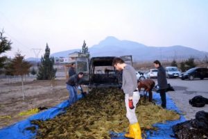 Uyuşturucu y&uuml;kl&uuml; aracı yakıp ka&ccedil;mak istedi
