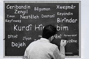 K&uuml;rt&ccedil;e resmi dil oldu!