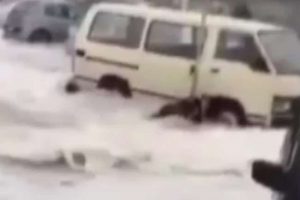 Tsunami gibi dalga