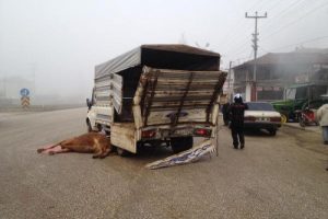 Kırmızı ışıkta duran kamyona &ccedil;arptı