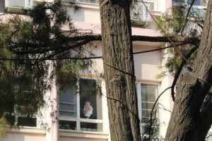 Berk bebeğin umudu Ankara'da