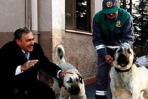 Her k&ouml;peğin bir kimliği olacak