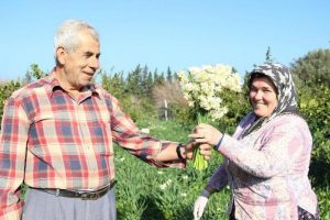 Karaburun'da nergis mevsimi