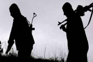 Bir PKK'lı teslim oldu