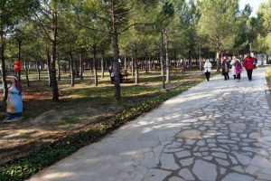 O park meclis g&uuml;ndeminde