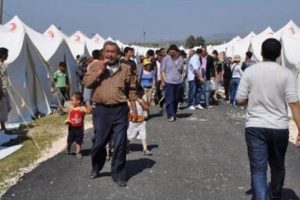 A&ccedil;lıktan kedi eti yiyip zehirlendiler!