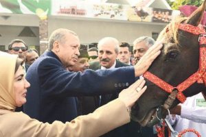 CHP, hediye atın peşine d&uuml;şt&uuml;