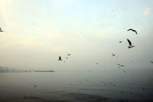 &Ccedil;anakkale Boğazı'nda ulaşıma sis engeli