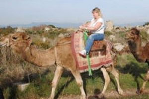 Turistlerden deve turlarına b&uuml;y&uuml;k ilgi