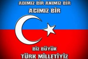 T&uuml;rk hacker grubundan &Ccedil;in'e siber saldırı