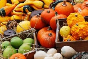 Kış sebzeleri C vitamini ağırlıklıdır