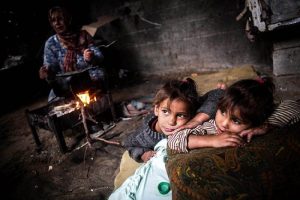 Otlarla hayata tutunmaya &ccedil;alışıyorlar