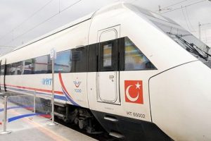 Kedisinin cenazesini trenle taşımak istedi